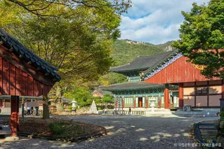 도갑사