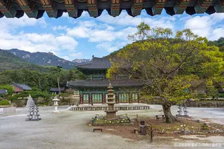 도갑사