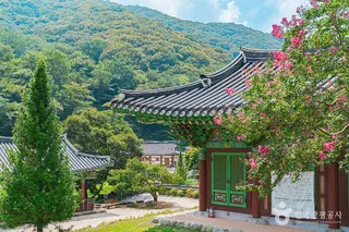 불회사(나주)