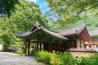 불회사(나주)