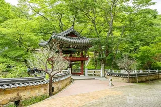 천은사(구례)