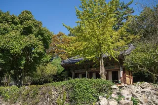 진도 운림산방