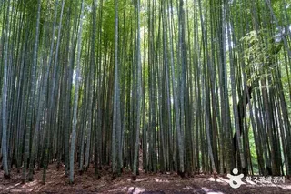 고창읍성