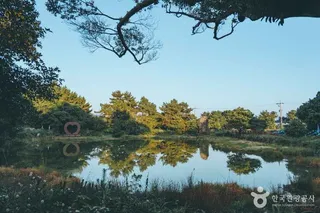 혼인지