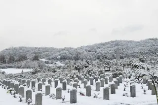 국립서울현충원