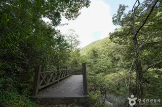 청도 남산계곡