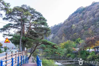 남천계곡