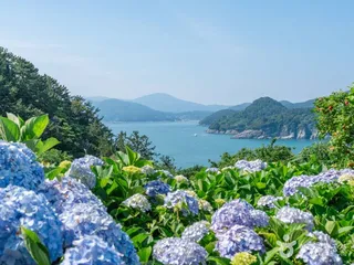 외도 보타니아