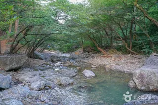 장유대청계곡
