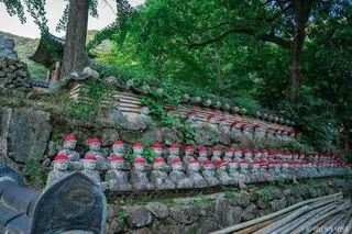 대원사(보성)