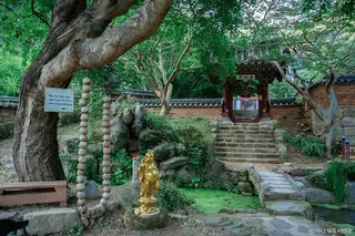 대원사(보성)