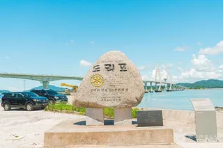 도리포