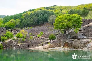 삼성궁