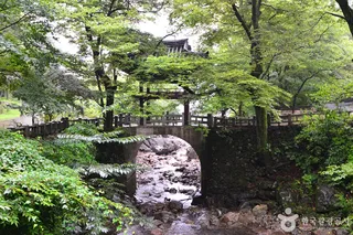 구례 관광특구
