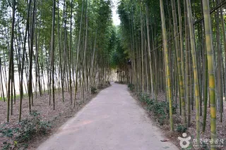 구례 관광특구