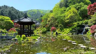 아침고요수목원
