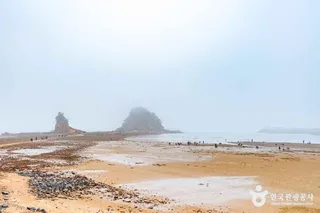 꽃지해수욕장