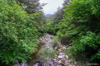 백천계곡