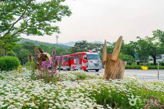 서울대공원