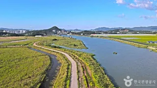 영암호(철새도래지)
