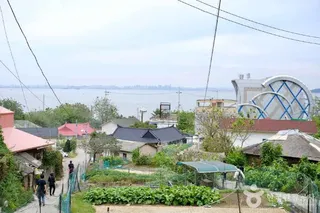무의도