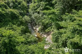 동산계곡
