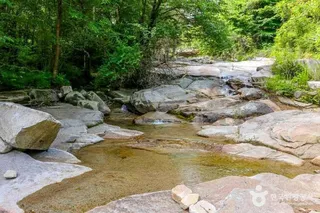 동산계곡