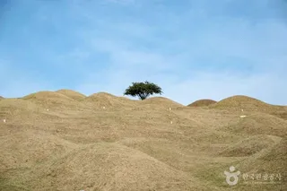 대구 불로동 고분군