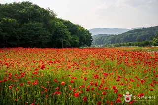 상림공원