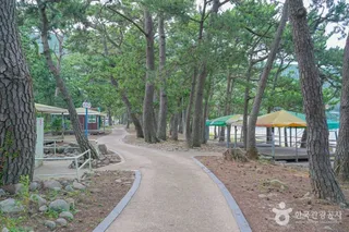 덕흥해수욕장