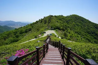 천등산(고흥)