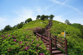 천등산(고흥)