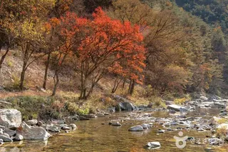 김삿갓 계곡