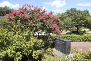 임고서원