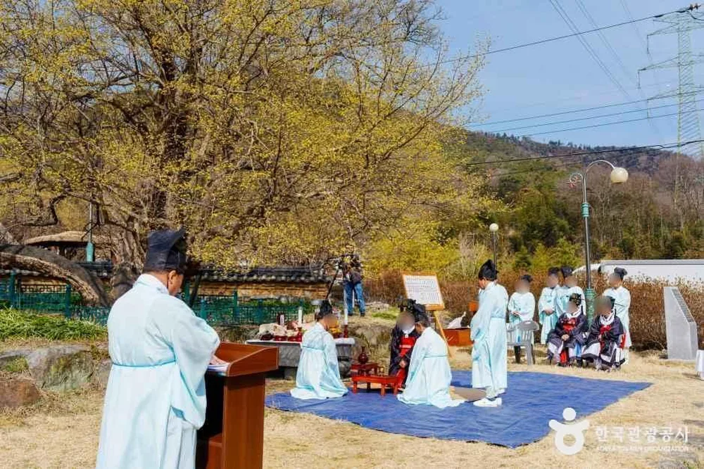 구례 산수유마을