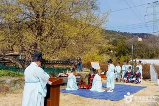 구례 산수유마을