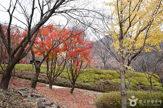 흑석산 자연휴양림