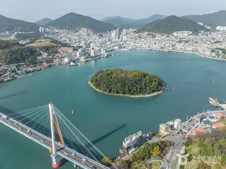 장군도