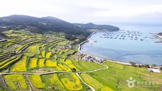 청산도
