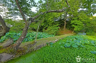 임대정원림