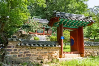광제정