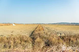 산이반도