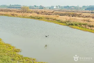 산이반도