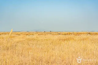 산이반도
