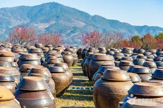 홍쌍리 청매실농원
