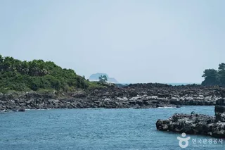 강정천