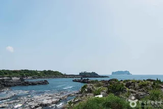 강정천