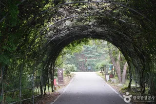국립 운문산자연휴양림