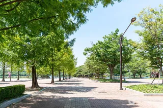일산호수공원
