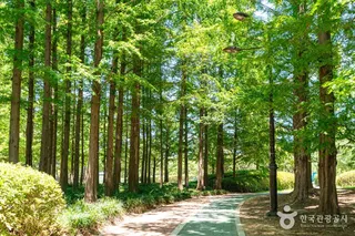 일산호수공원